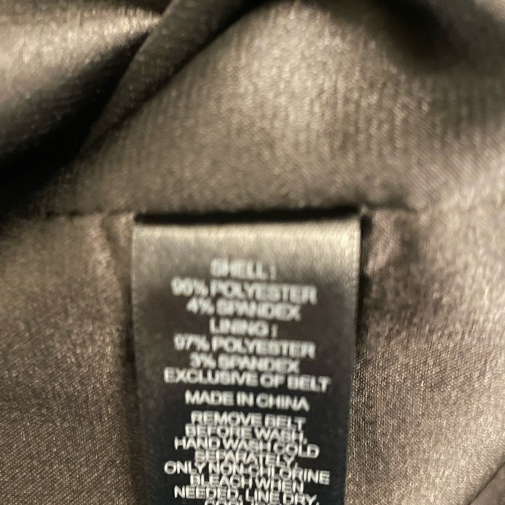 Express: Zebra Print Dress - image 5